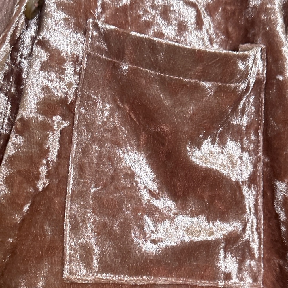 Mystree Velvet Button-Down Shirt in Pink - Picture 5 of 5